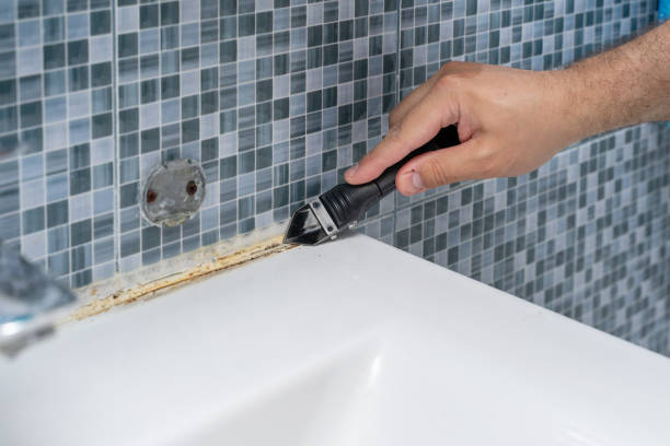 Best Professional Mold Removal  in Montrose, NY