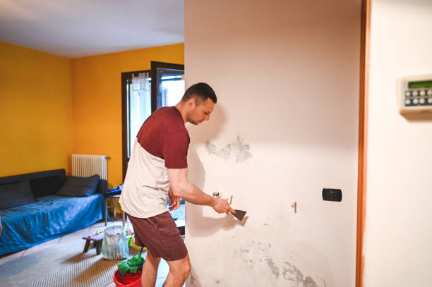 Best Mold Inspection  in Montrose, NY